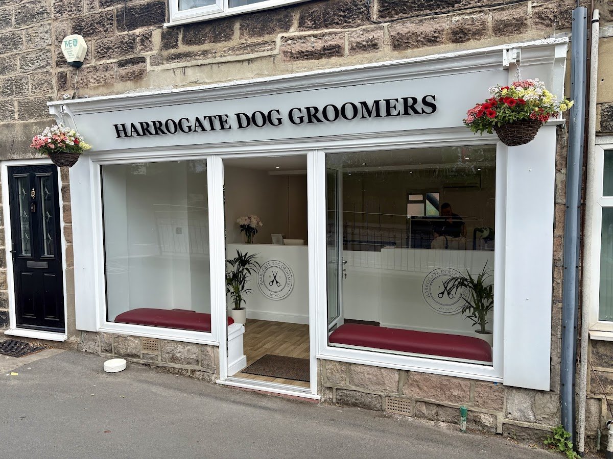 Harrogate Dog Groomers - Photo 2