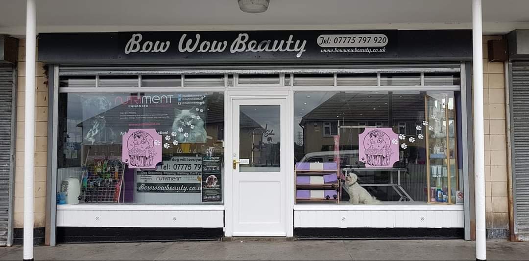 Bow Wow Beauty - Photo 2