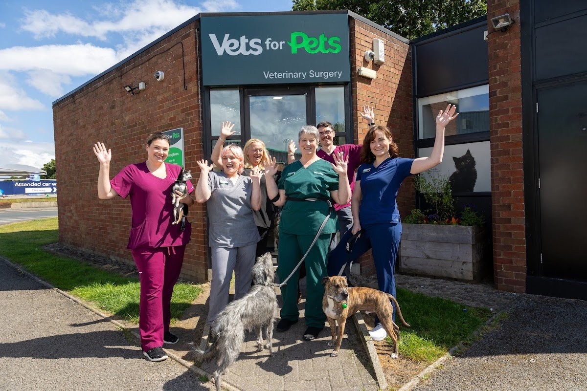 Vets4Pets - Harrogate - Photo 2