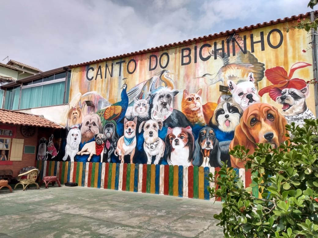 Canto Do Bichinho