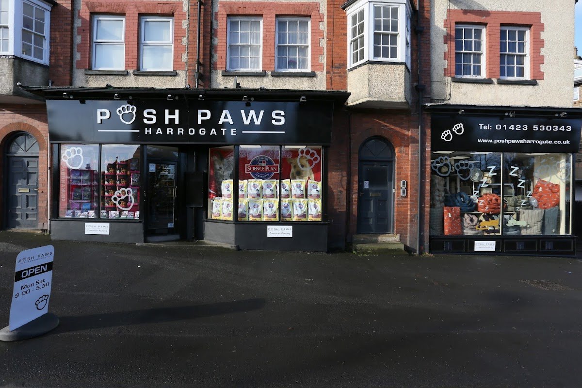 Posh Paws Harrogate - Photo 2