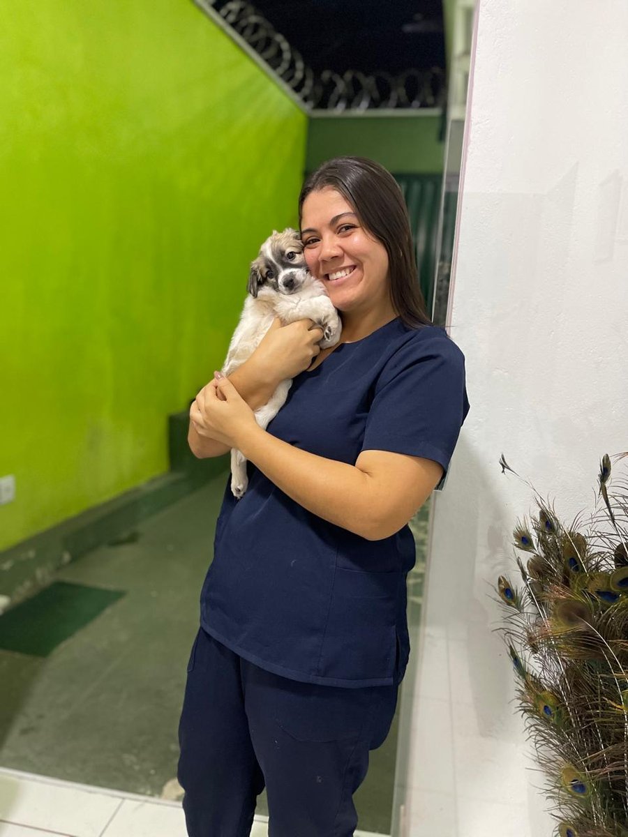 Bem Estar Animal Pet Shop