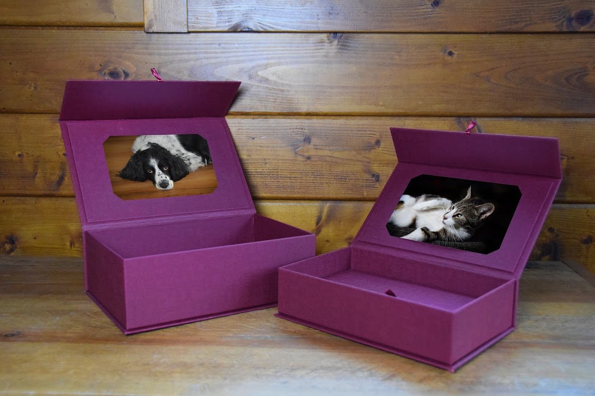 Pets at Rest - Photo 4
