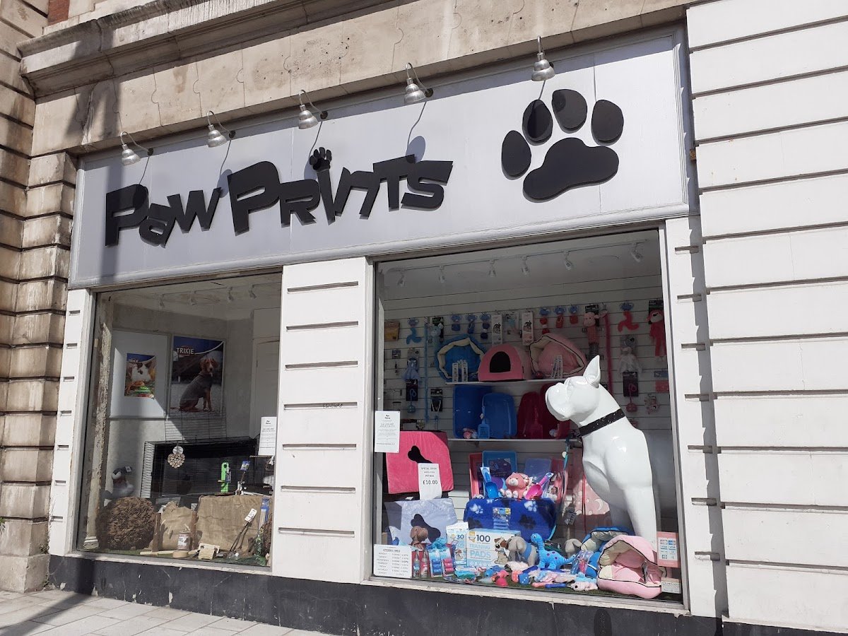 Paw Prints - Photo 2