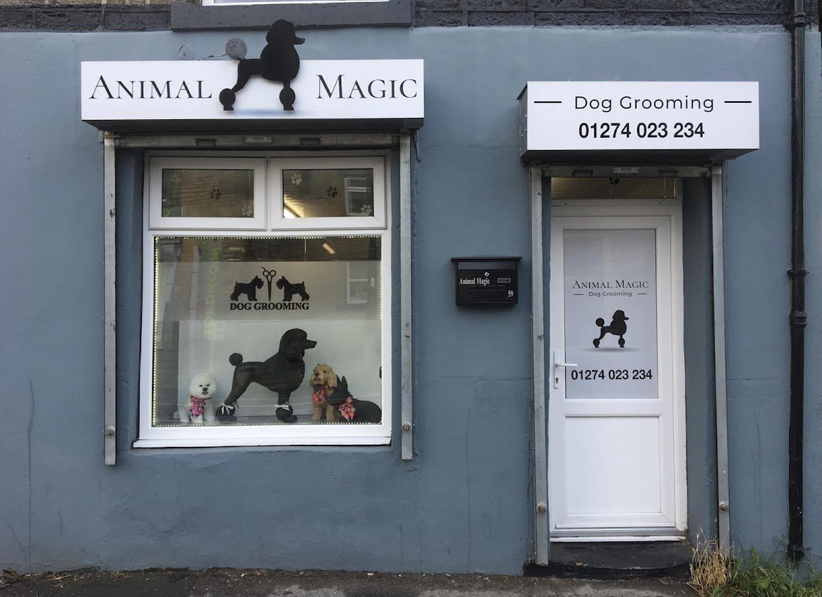 Animal Magic Dog Grooming Ltd. - Photo 2