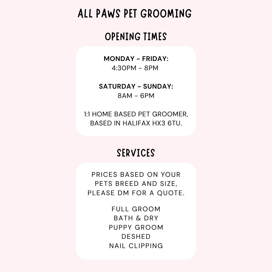 All Paws Pet Grooming - Photo 2