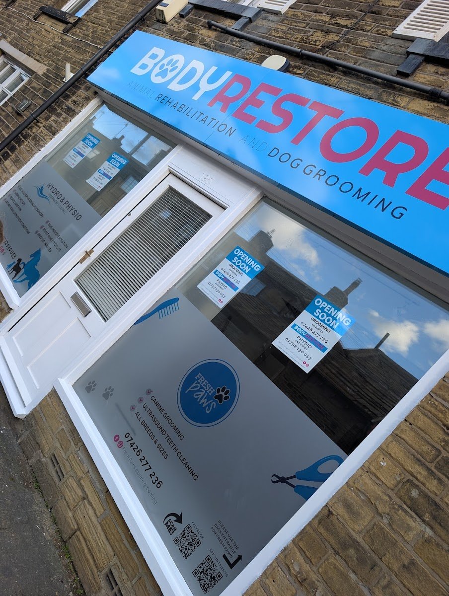 Fresh Paws Wilsden canine dog grooming and teeth cleaning - Photo 4