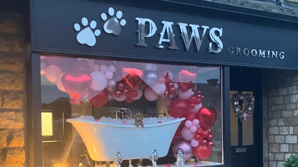 PAWS Grooming - Photo 2