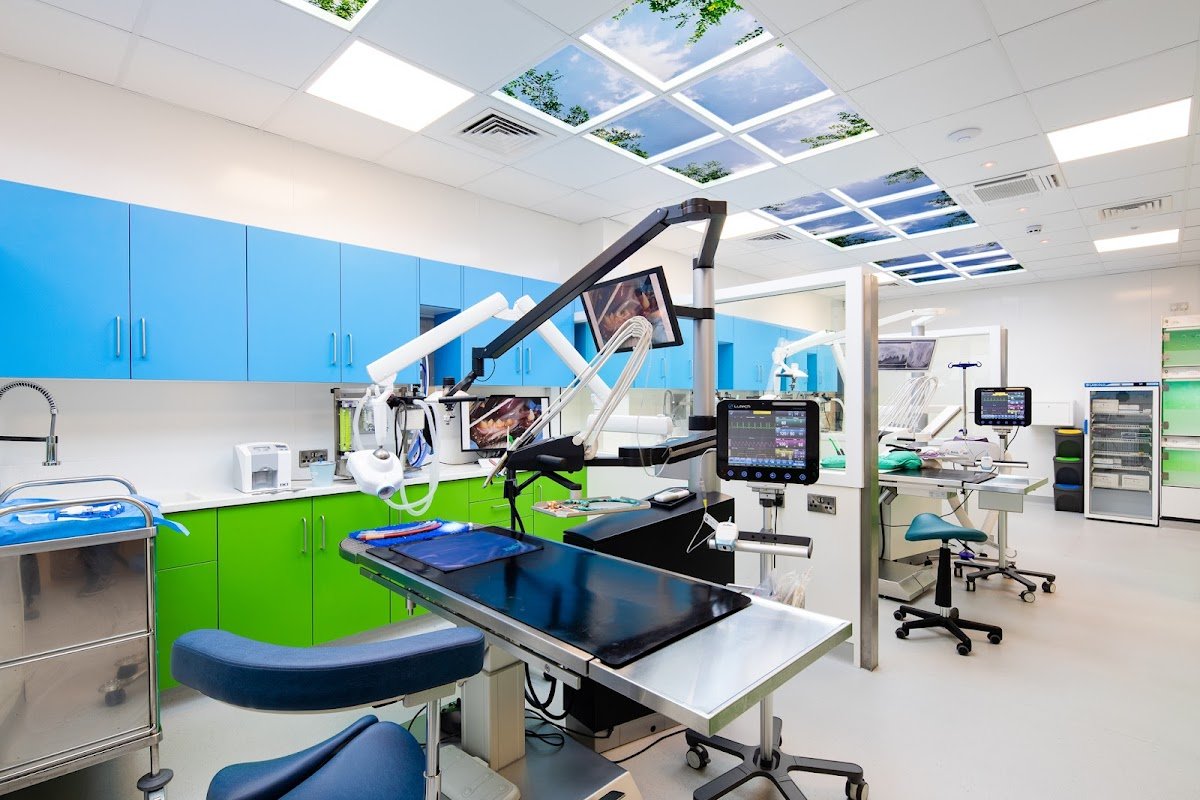 Vet Dentist - Photo 2