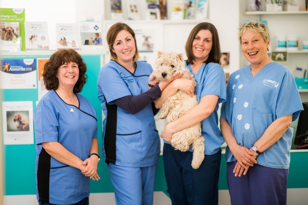Zetland Vets, Backwell - Photo 2