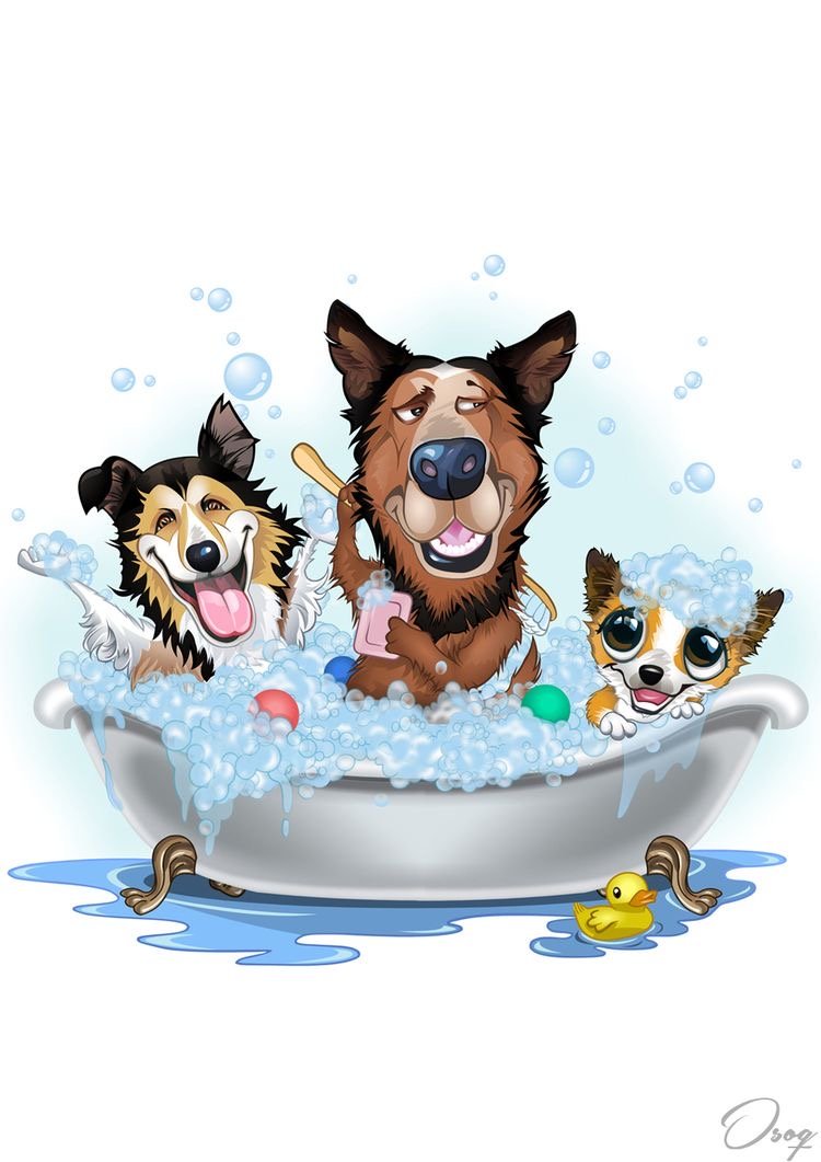 Fresh paws dog grooming - Photo 2