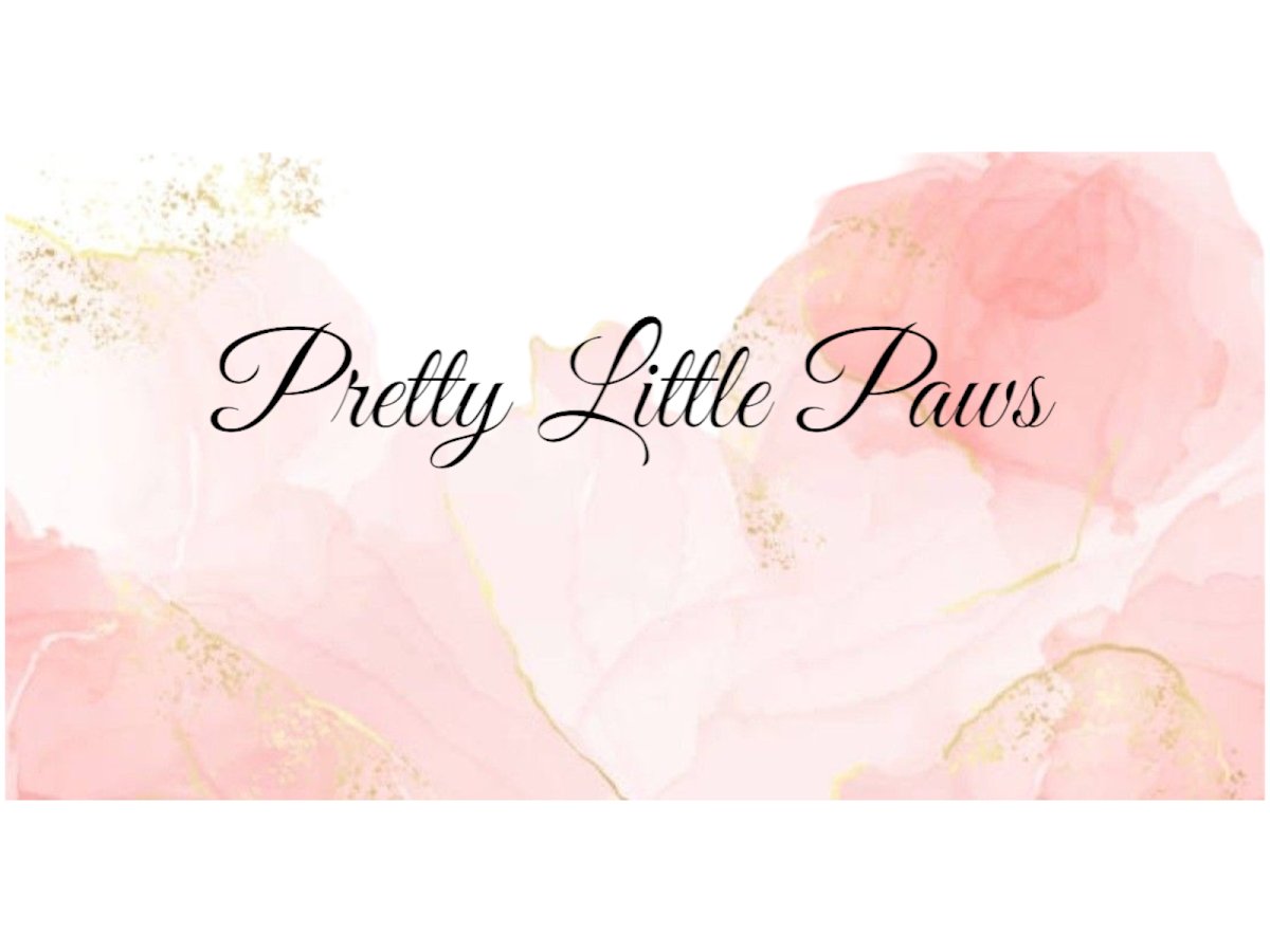Pretty little paws - Photo 2