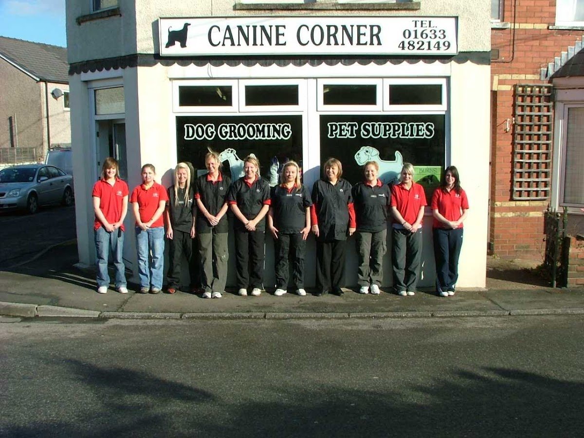 Canine Corner - Photo 2