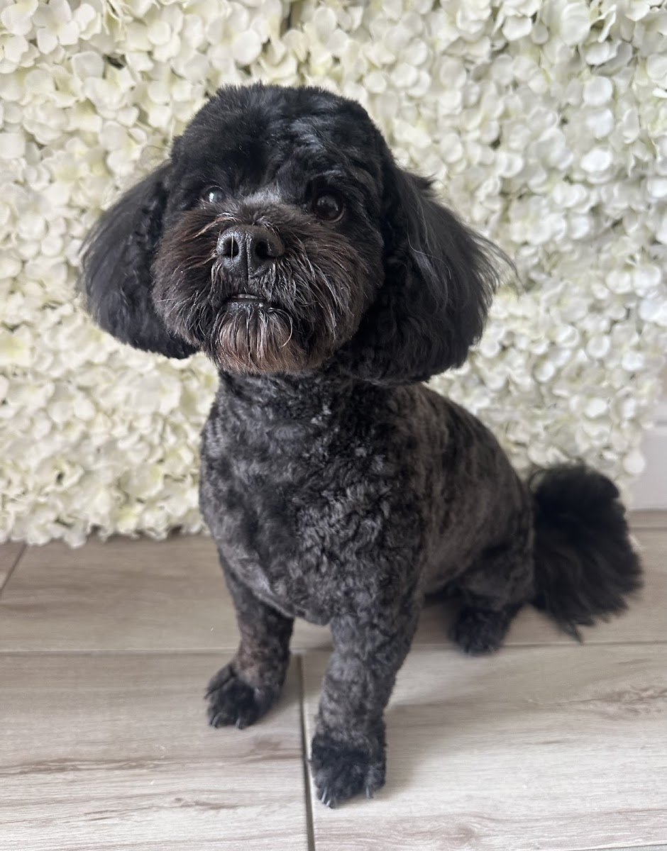 Reggie’s Grooms - Photo 2