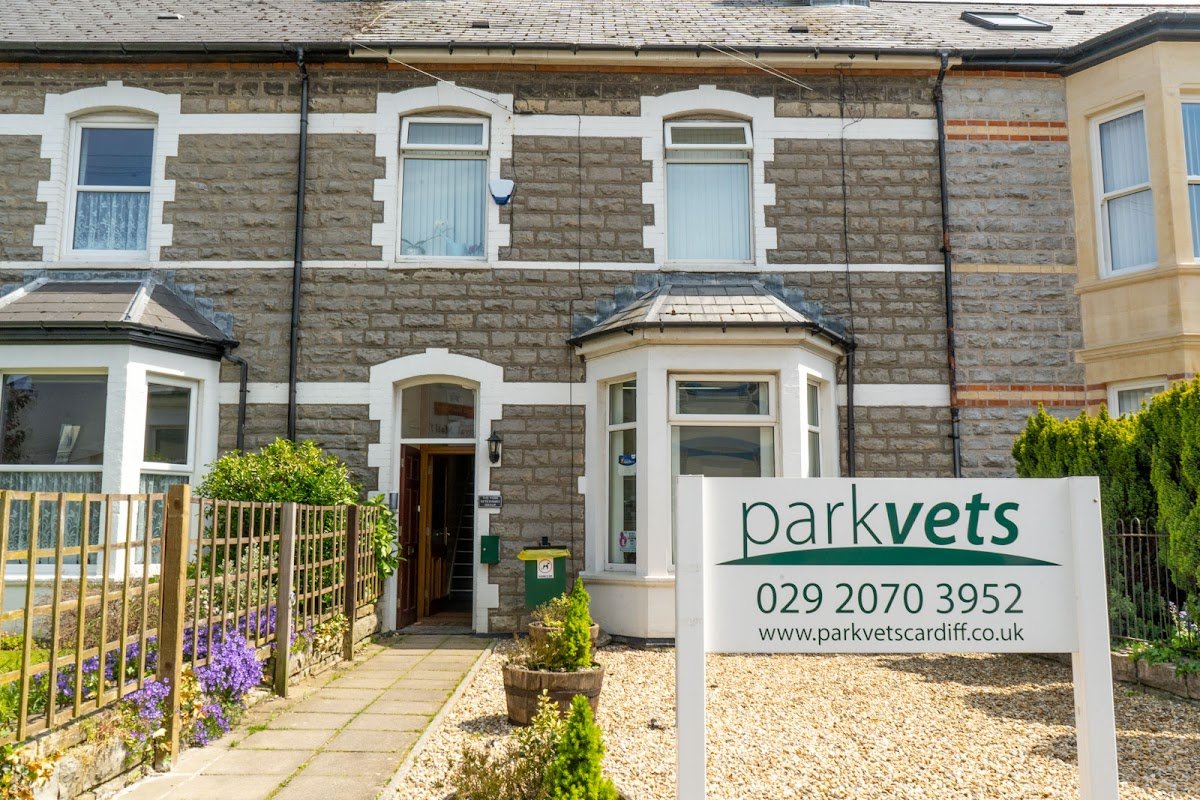 Park Veterinary Group, Penarth - Photo 2