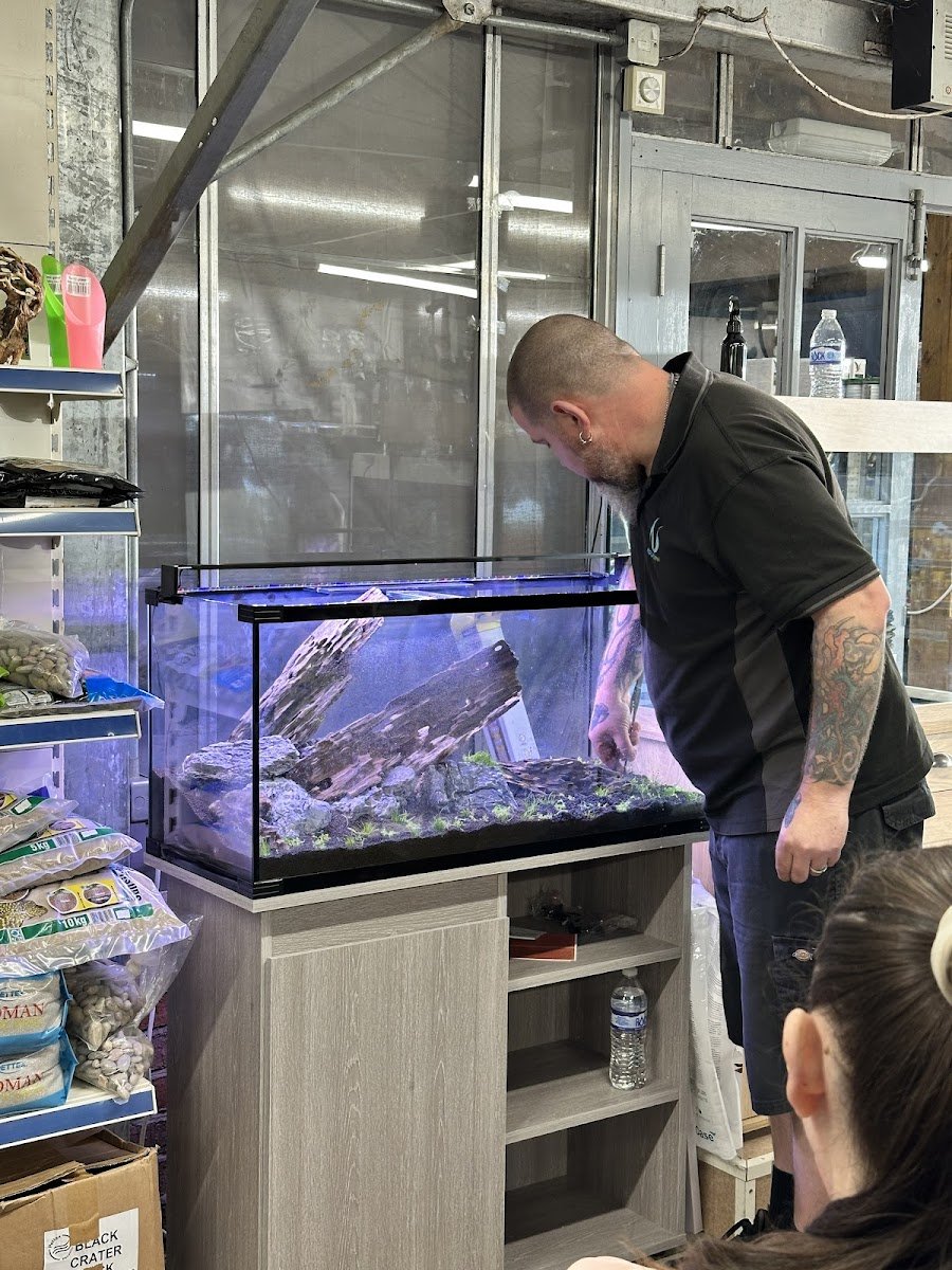 Aquaman Complete Aquarium Services - Photo 2