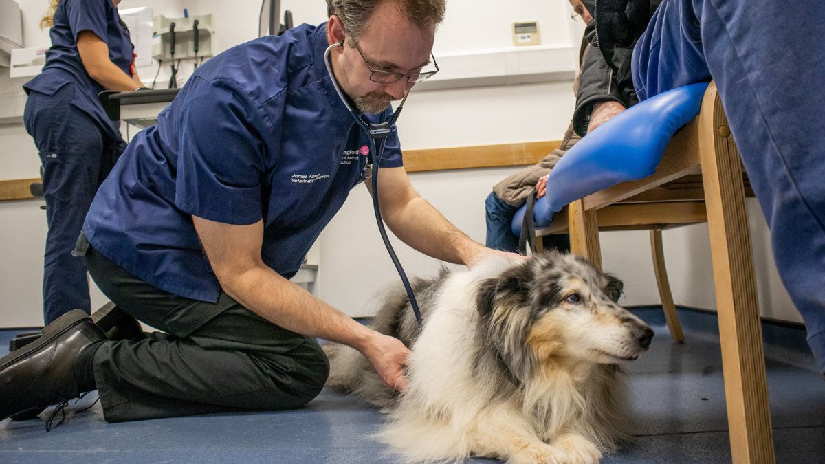 Langford Vet Practice - Photo 4