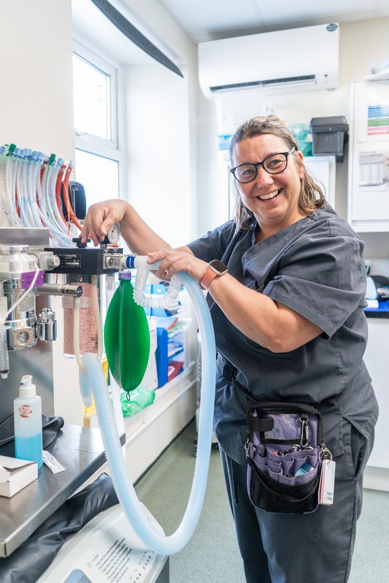 Park Veterinary Group, Pontypridd - Photo 2