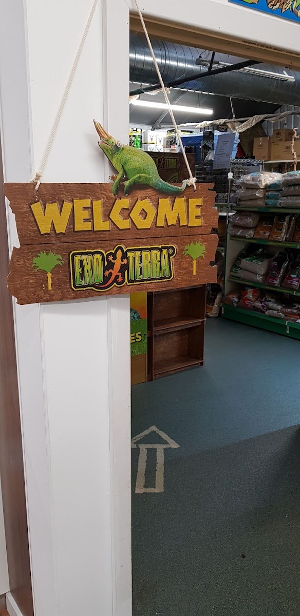 Dragon Reptiles - Photo 2