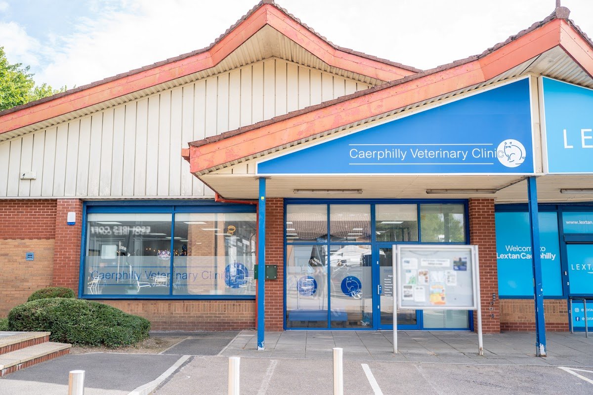 Caerphilly Veterinary Clinic - Castle View - Photo 2