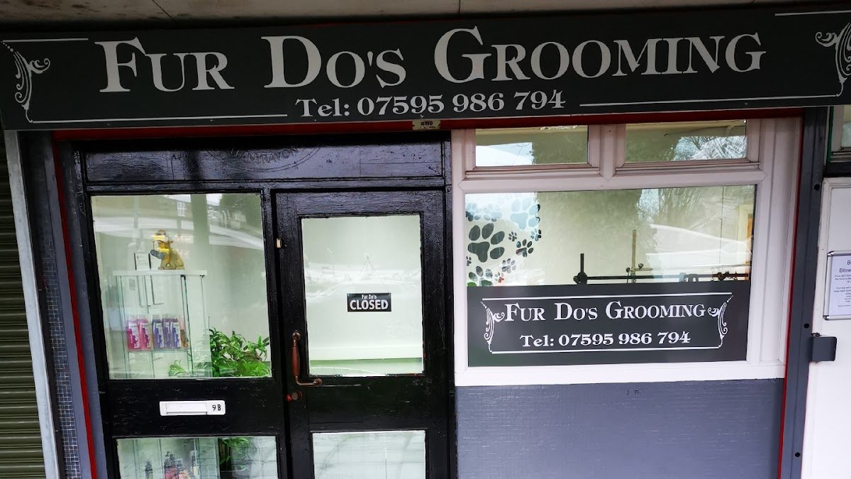 Fur Do's Grooming - Photo 2