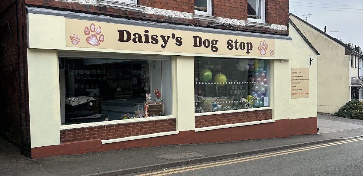 Daisy's Dog Stop - Photo 2