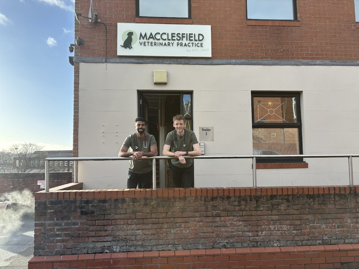 Macclesfield Veterinary Practice - Photo 2