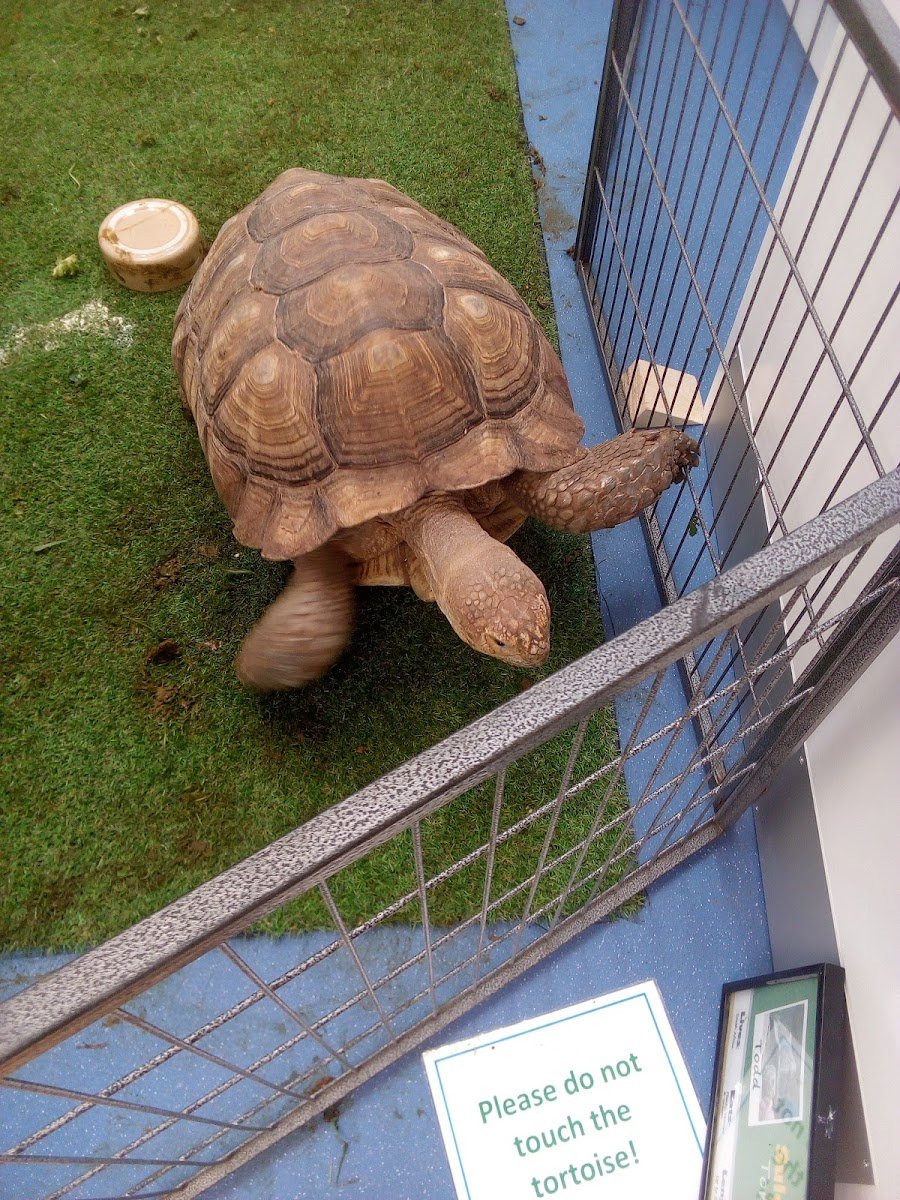 Shires Veterinary Practice - Photo 2
