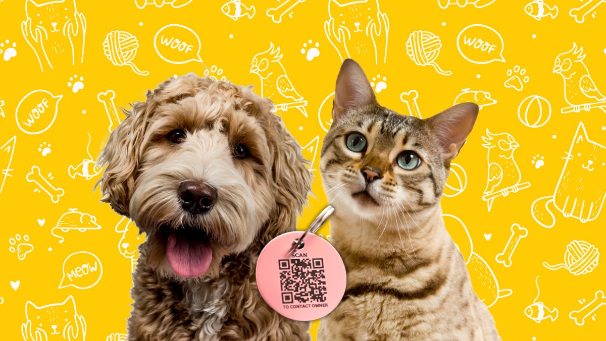 PawFinder - Photo 2