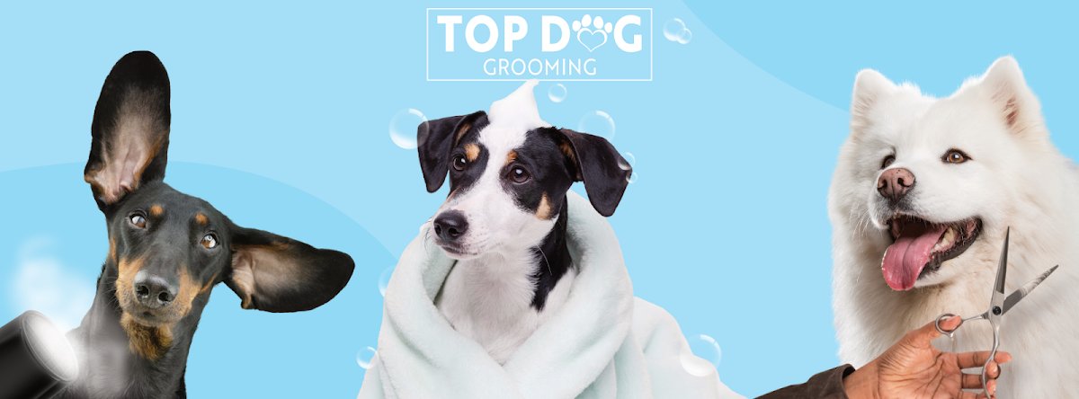 Top Dog Grooming - Photo 2