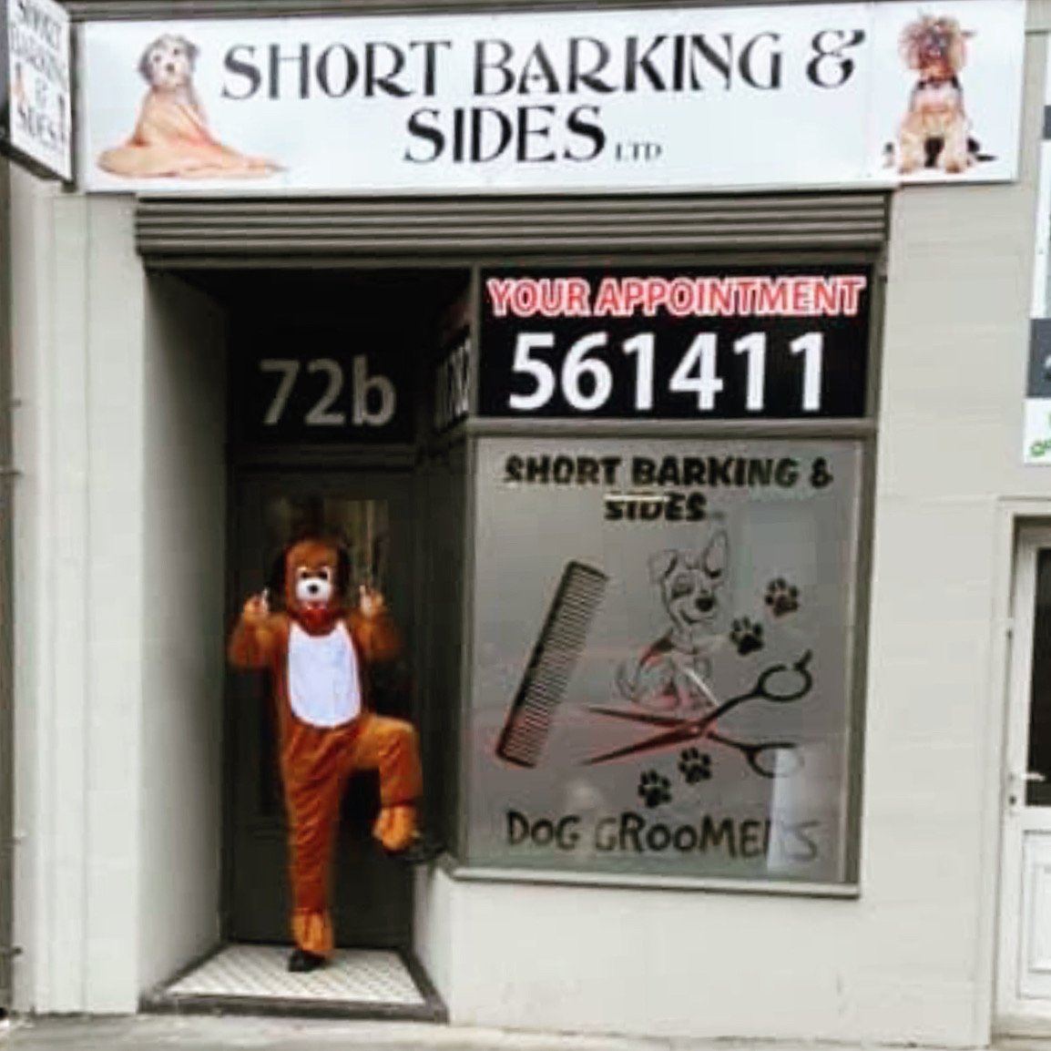 Short Barking and Sides - Photo 2