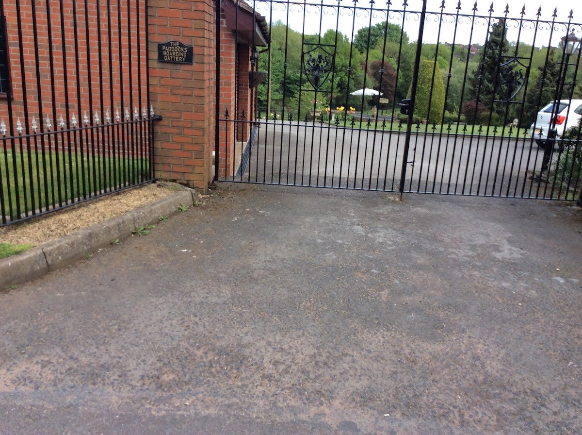 Bells Lane Cattery - Photo 2