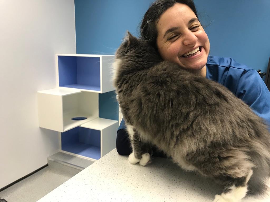 The West Midlands Cat Clinic - Photo 2