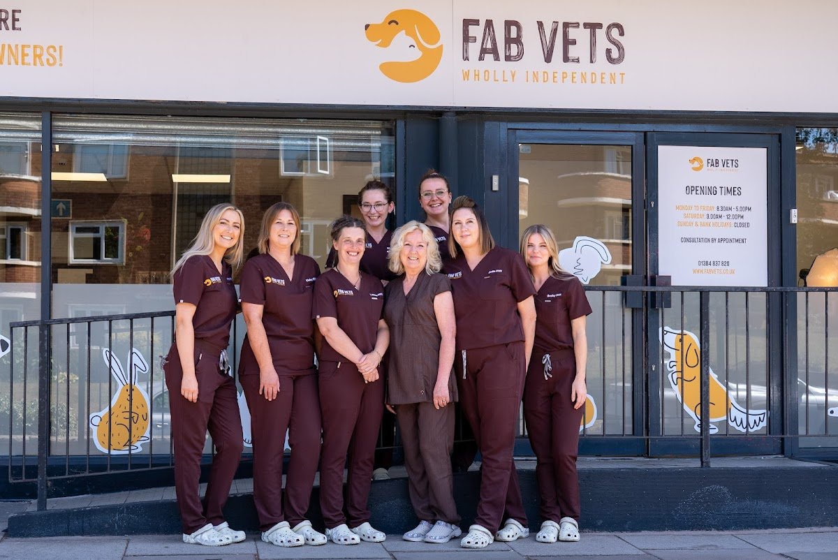 FAB Vets - Photo 2