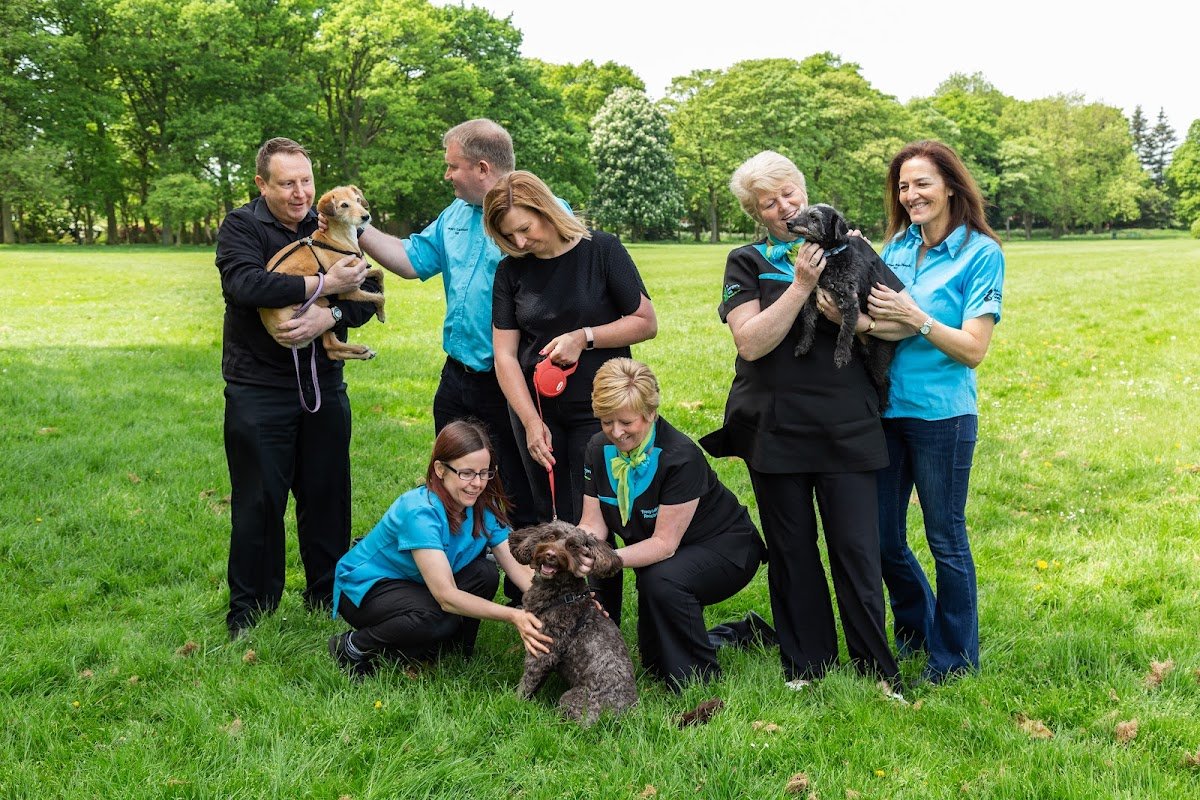 St George's Vets - Bushbury - Photo 2