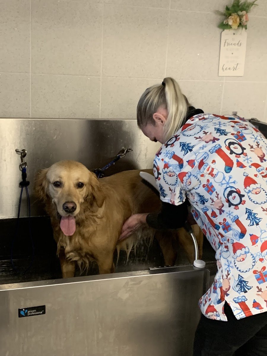 Furdazzle Dog Grooming - Photo 2