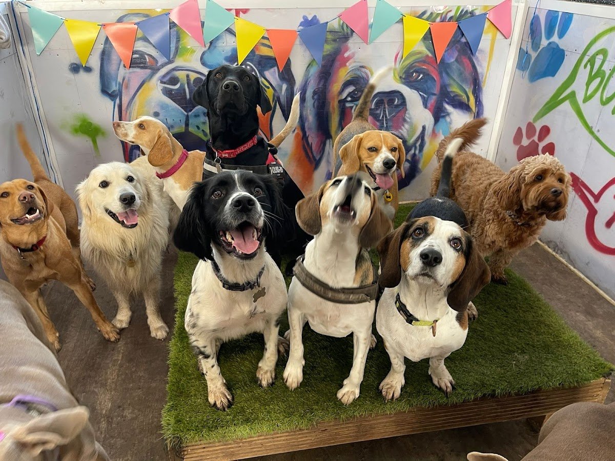 Sniffers Pet Agency - Photo 2