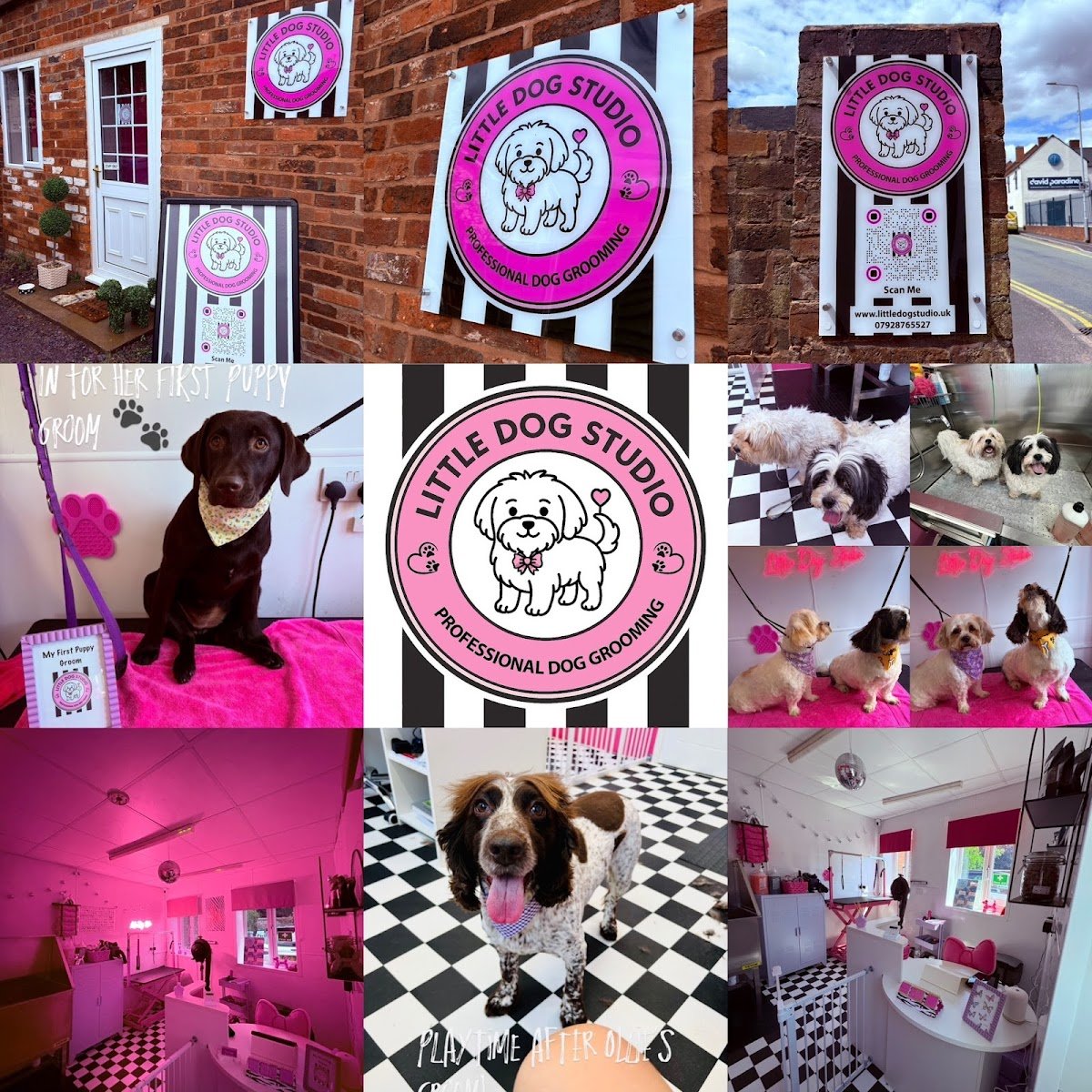 Little Dog Studio - Photo 2