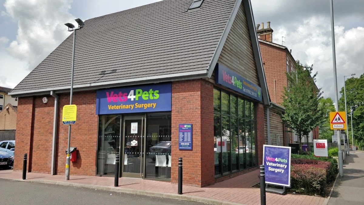 Vets for Pets - Wolverhampton - Photo 2