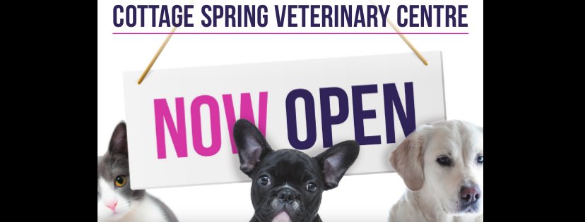 Cottage Spring Veterinary Centre - Photo 2