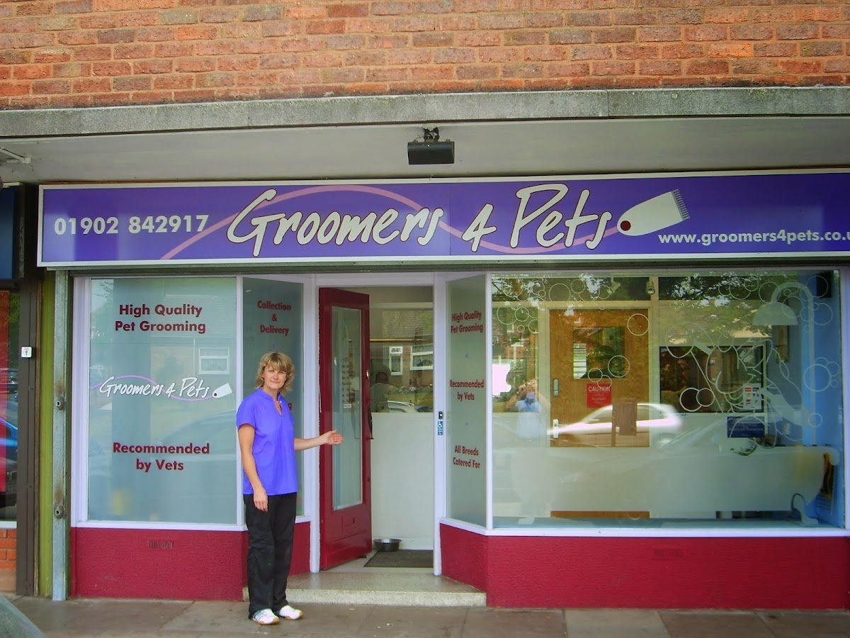 Groomers 4 Pets (Studio) - Photo 2
