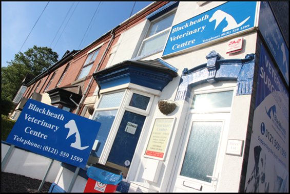 Blackheath Veterinary Centre - Photo 2