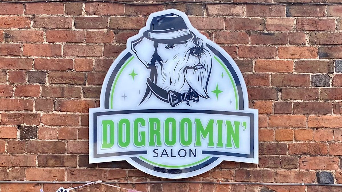 Dogroomin' - Photo 2