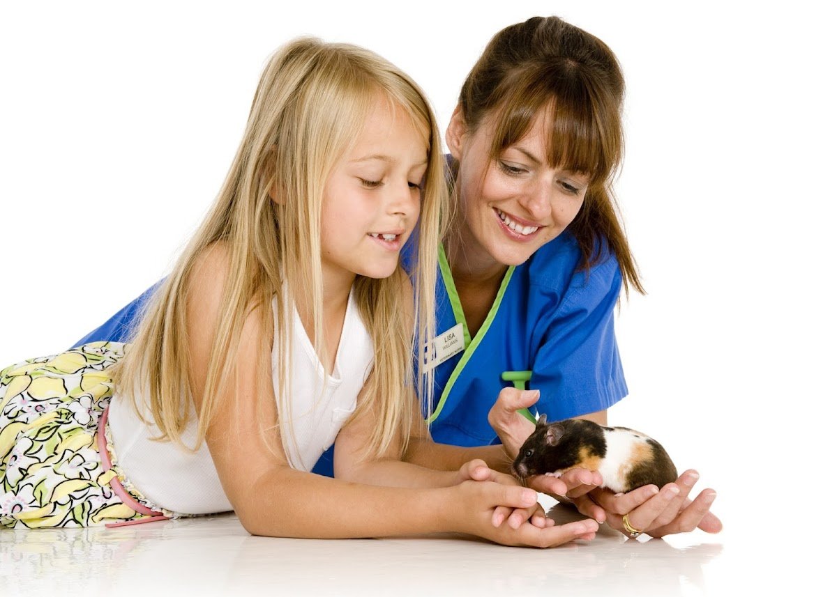 White Cross Vets - Photo 2
