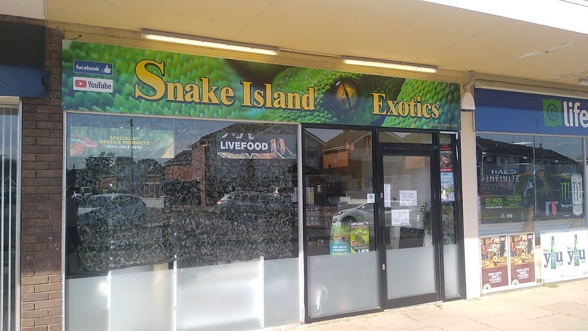 Snake Island Exotics - Photo 2