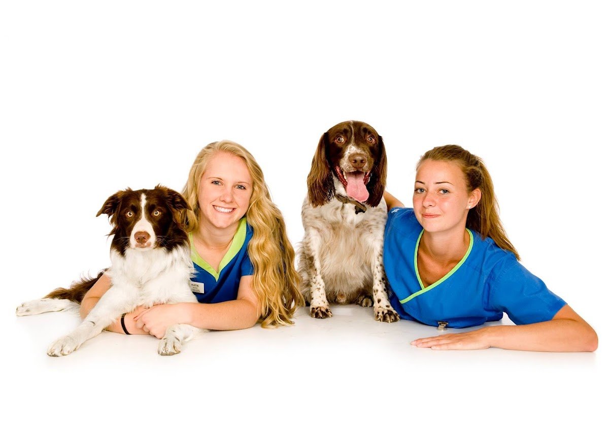 White Cross Vets - Photo 2