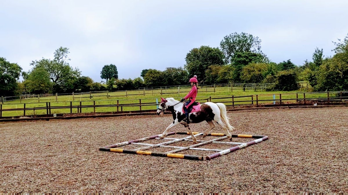 Westgate Equestrian - Photo 2