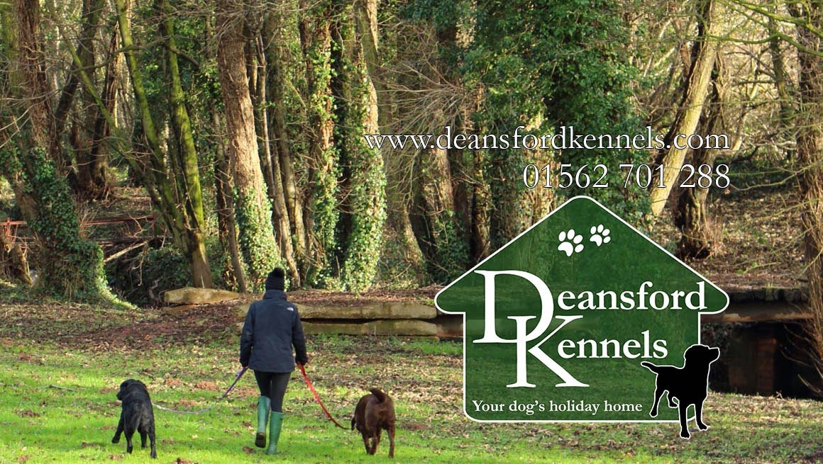 Deansford Kennels - Photo 2