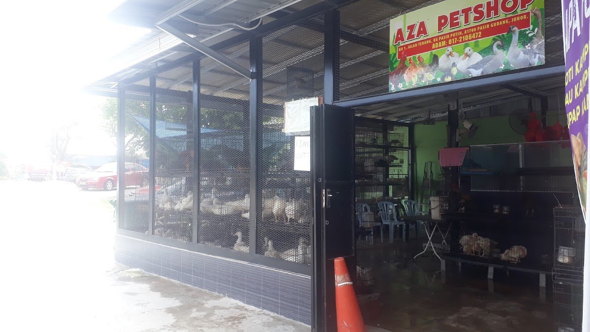 AZA PETSHOP - Photo 2