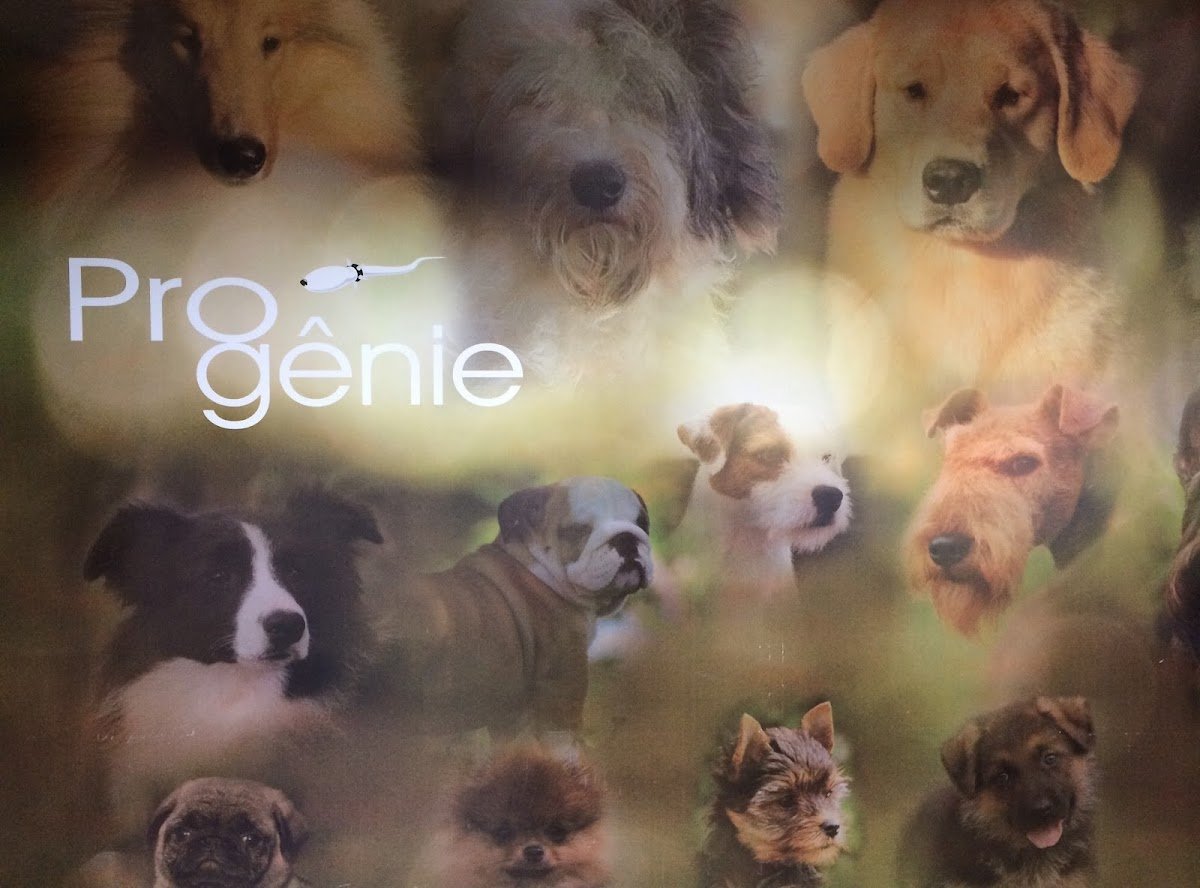 Clínica Veterinária Progênie